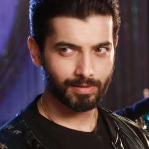 Veeranshu Singhania